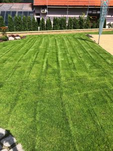 Realizace trávníku a závlahového systému Litoměřice